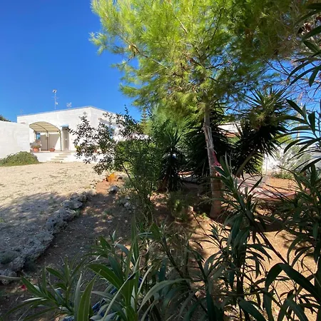 Lucia Punta Prosciutto