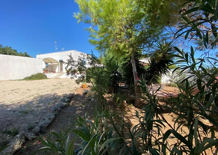 Lucia פונטה פרושוטו